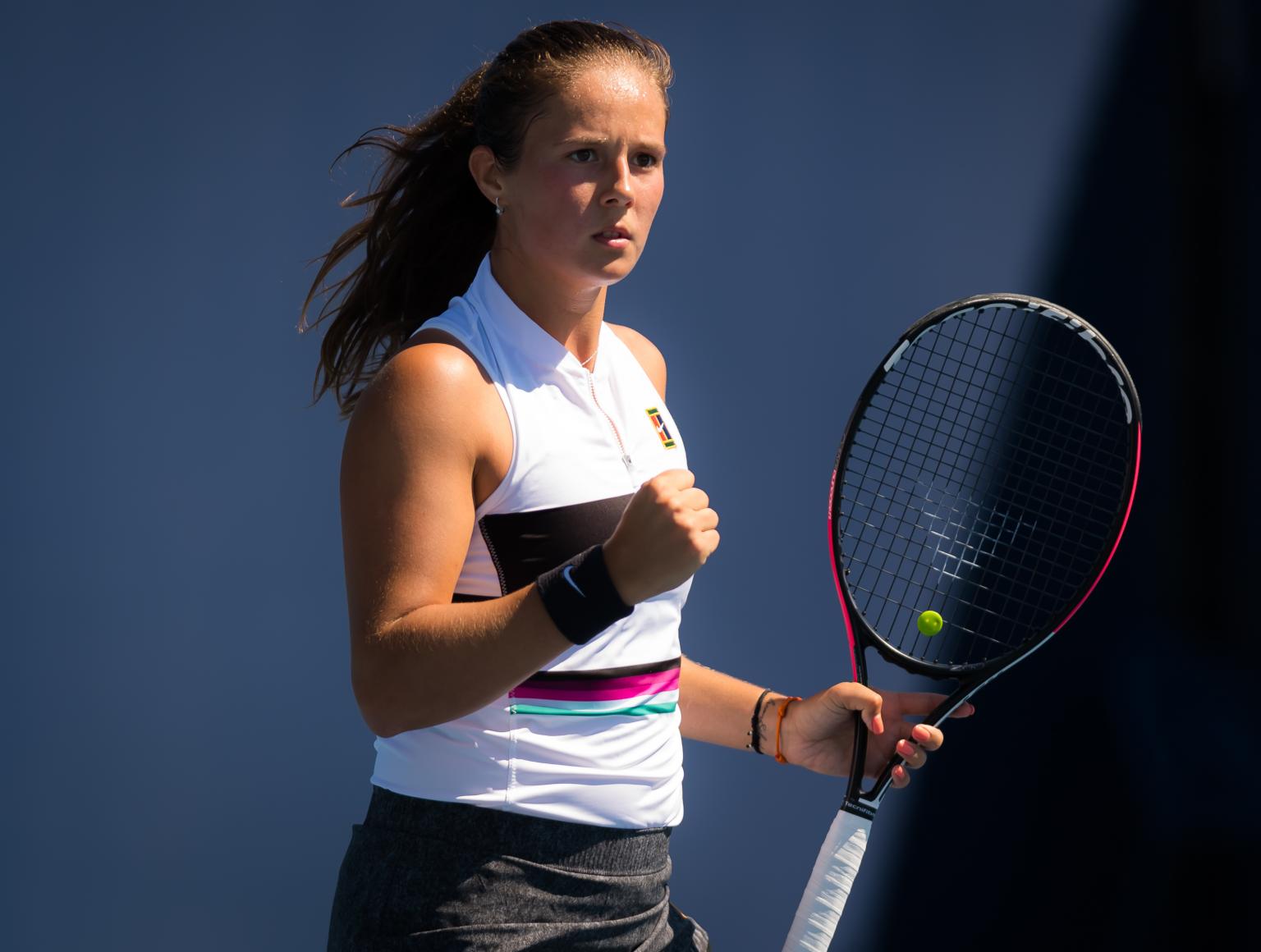 的试金石 的试金石