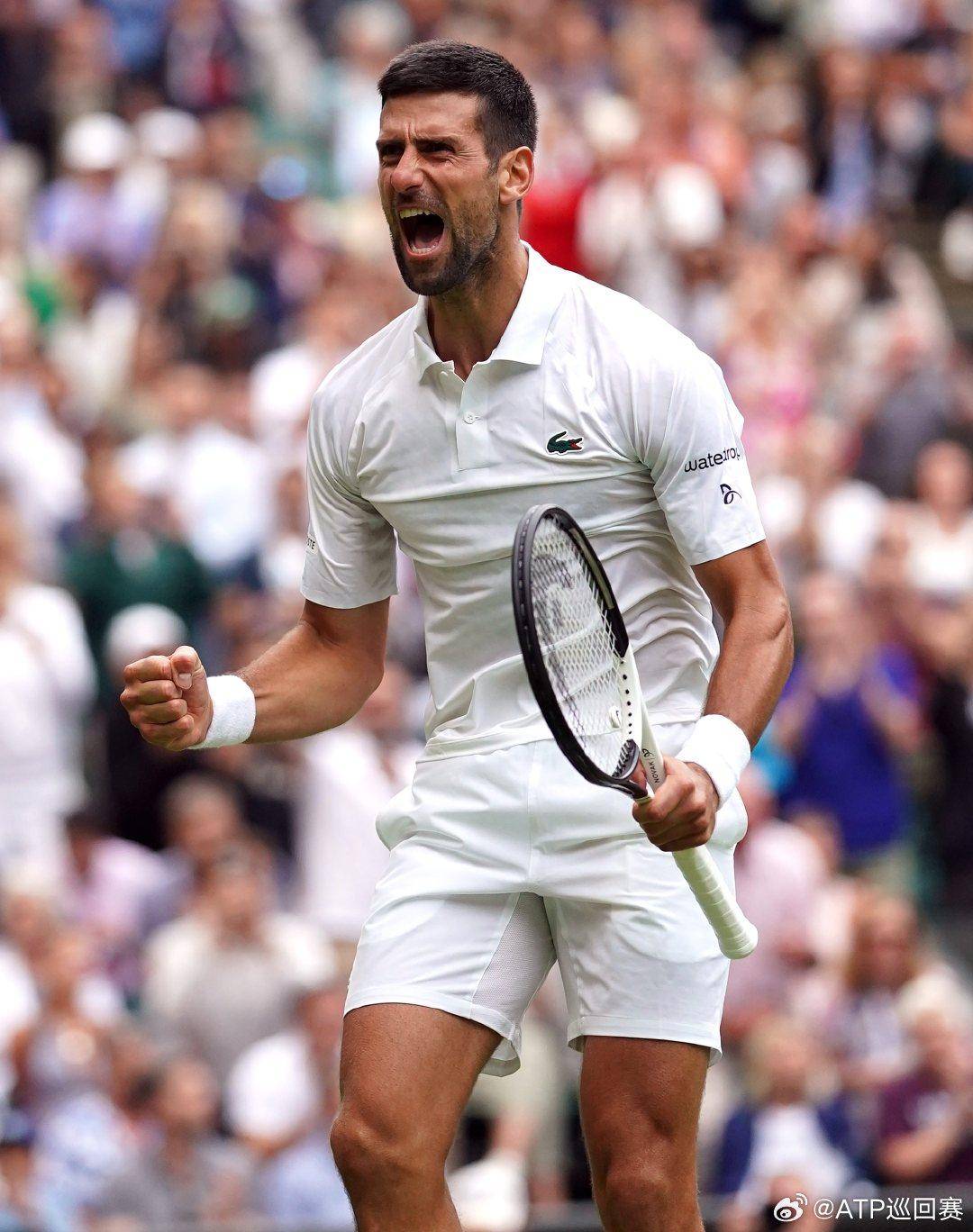 对手分析与 对手分析与